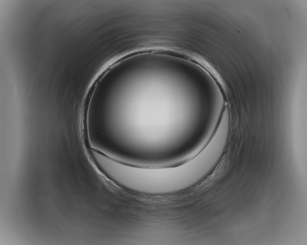 X0000115771101200911201213