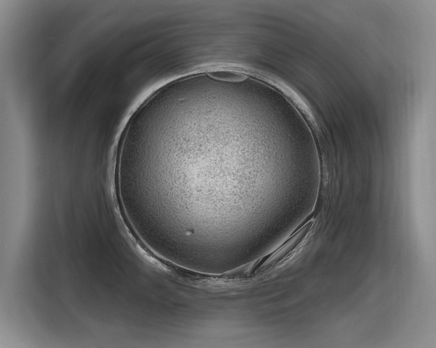 X0000115771102200911201213