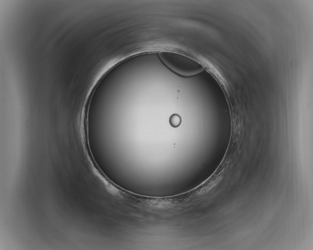 X0000115771103200911201213