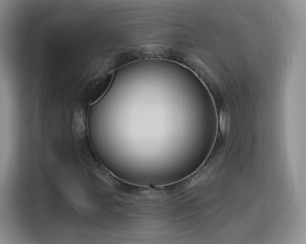 X0000115771107200911201213
