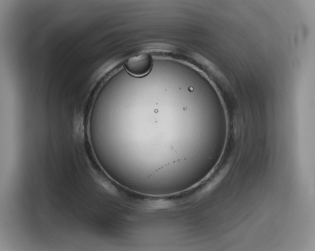 X0000115771113200911201213