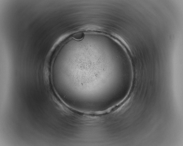 X0000115771115200911201213