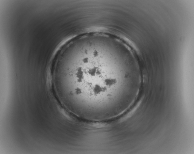 X0000115771117200911201213