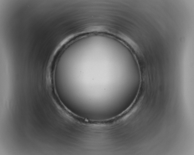 X0000115771118200911201213