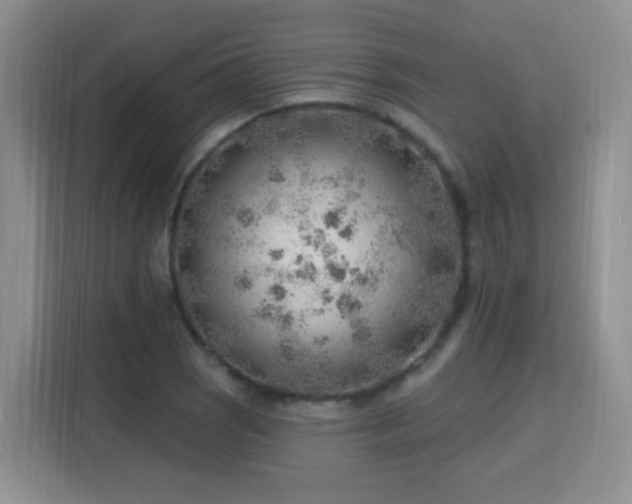 X0000115771121200911201213