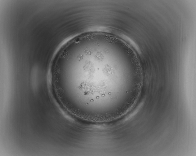 X0000115771125200911201213