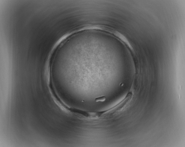 X0000115771127200911201213