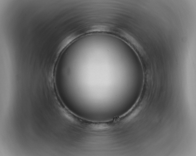 X0000115771129200911201213