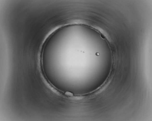 X0000115771134200911201213