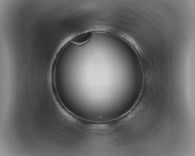 X0000115771135200911201213