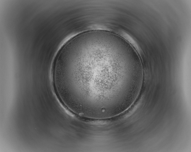 X0000115771141200911201213