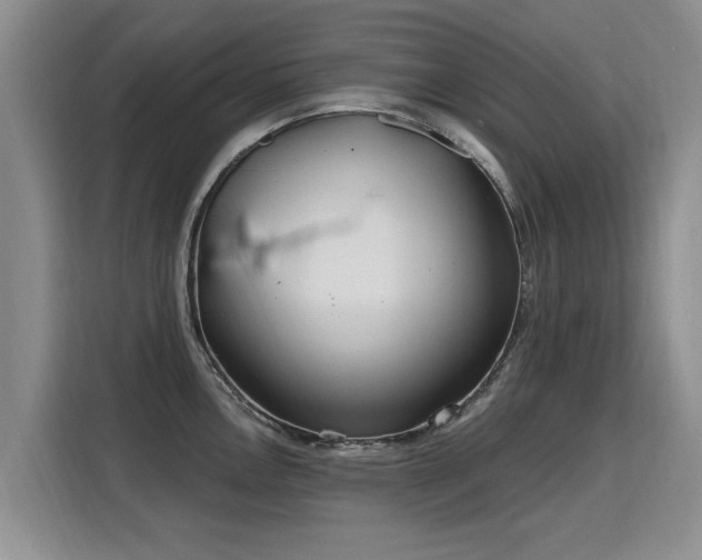 X0000115771146200911201213