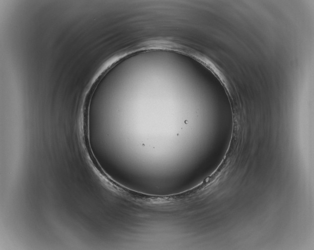 X0000115771147200911201213