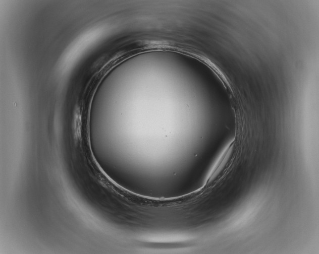 X0000115771151200911201213