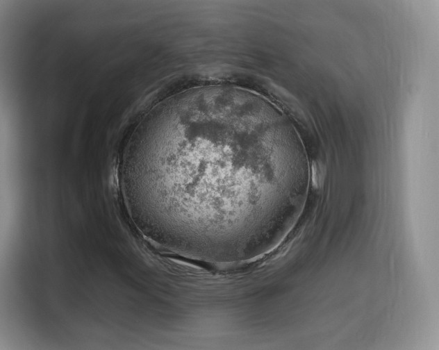 X0000115771155200911201213