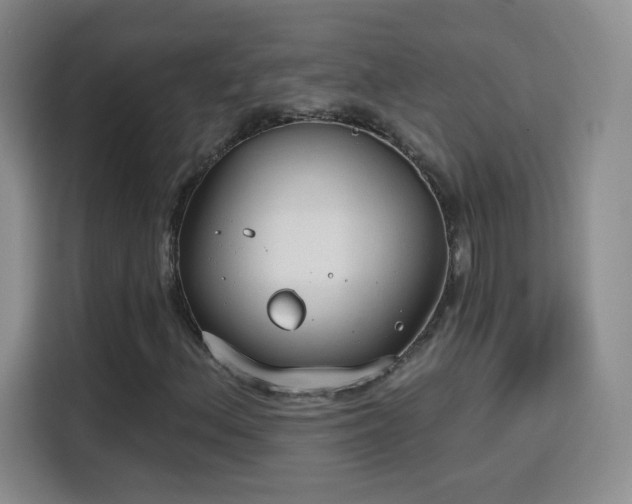 X0000115771156200911201213