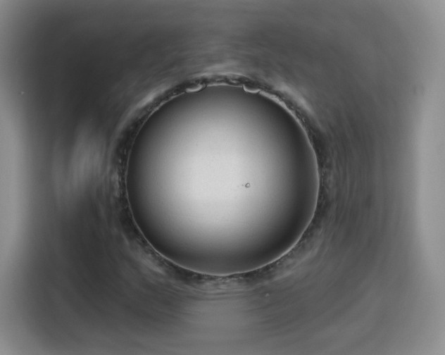 X0000115771159200911201213