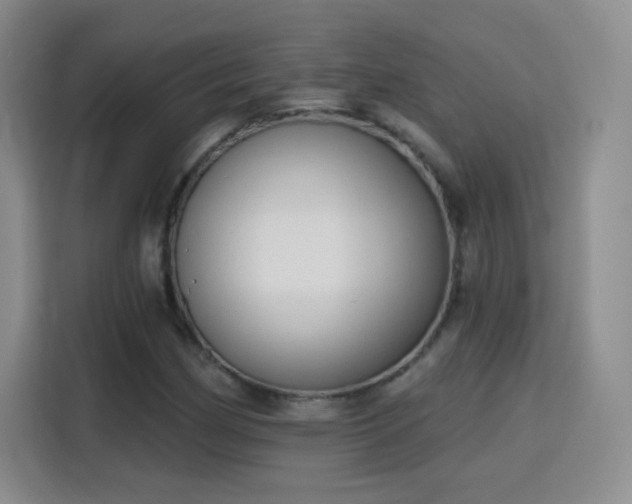 X0000115771162200911201213