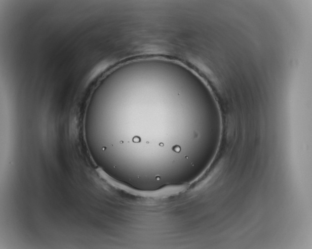 X0000115771163200911201213