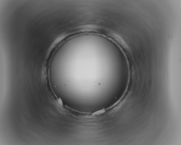 X0000115771164200911201212
