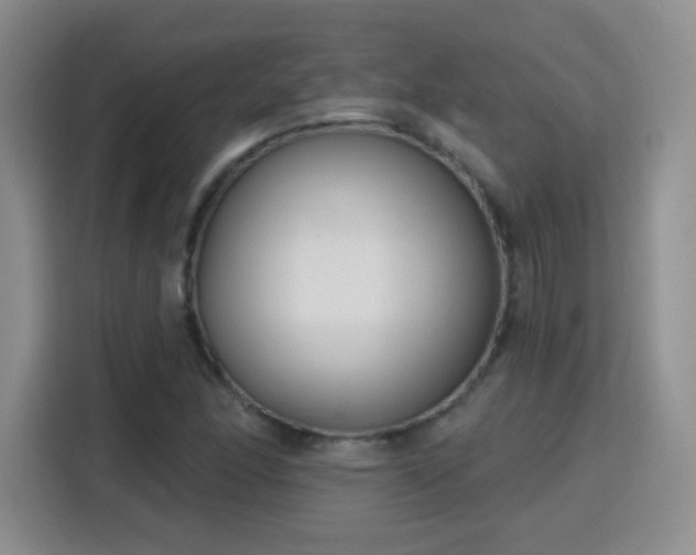 X0000115771166200911201212