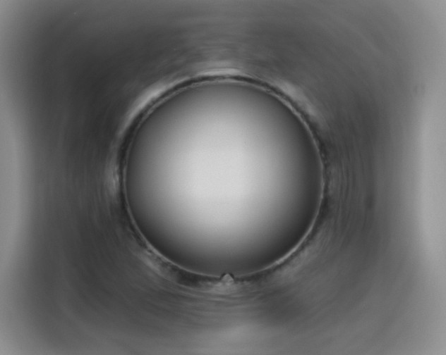 X0000115771167200911201212
