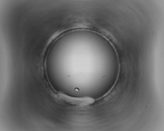 X0000115771168200911201212