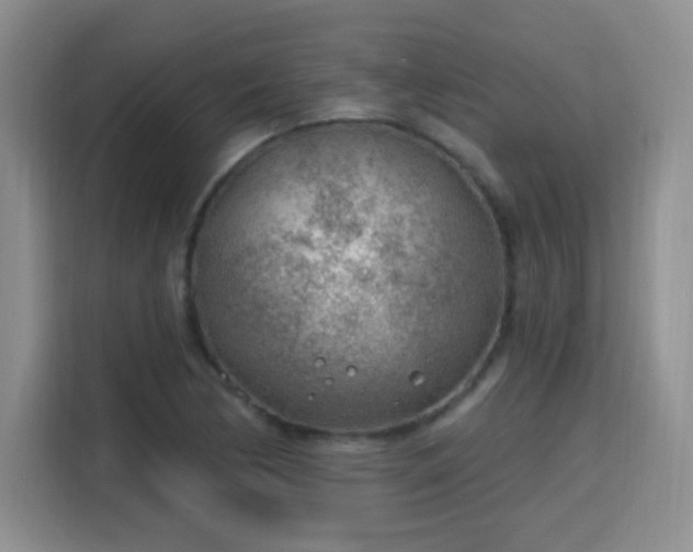 X0000115771170200911201212