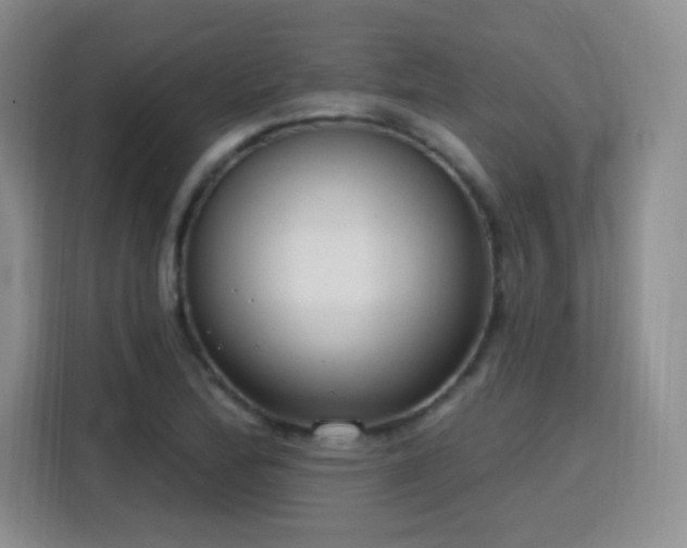 X0000115771172200911201212