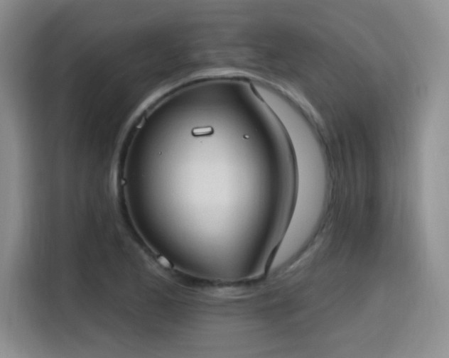 X0000115771173200911201212
