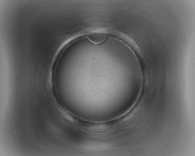 X0000115771174200911201212