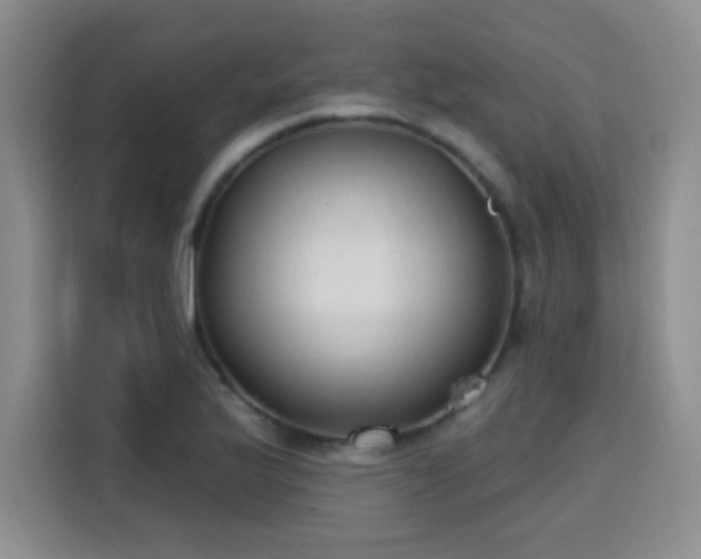 X0000115771175200911201212