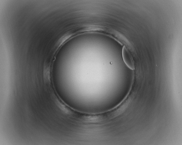 X0000115771177200911201212