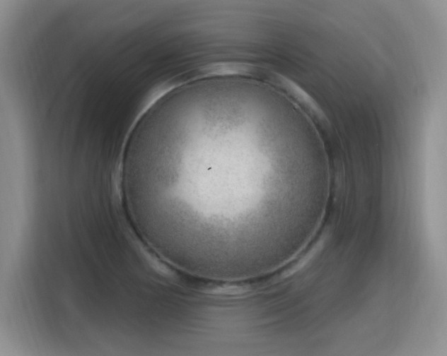 X0000115771178200911201212
