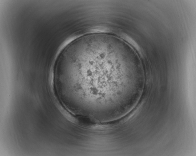 X0000115771179200911201212