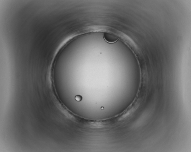 X0000115771182200911201212