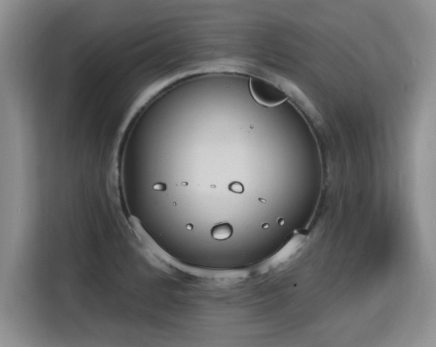 X0000115771184200911201212
