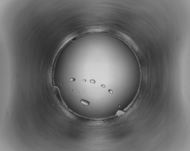X0000115771186200911201212