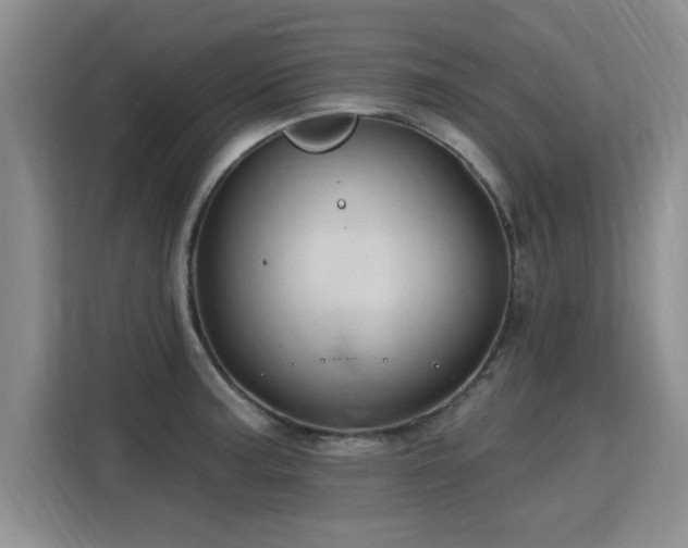 X0000115771187200911201212