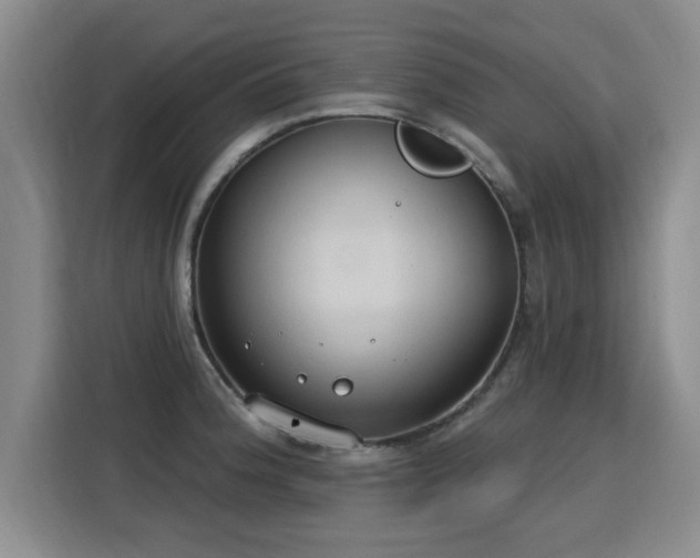 X0000115771188200911201212