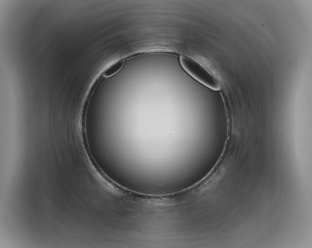 X0000115771189200911201212