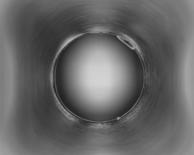 X0000115771195200911201212