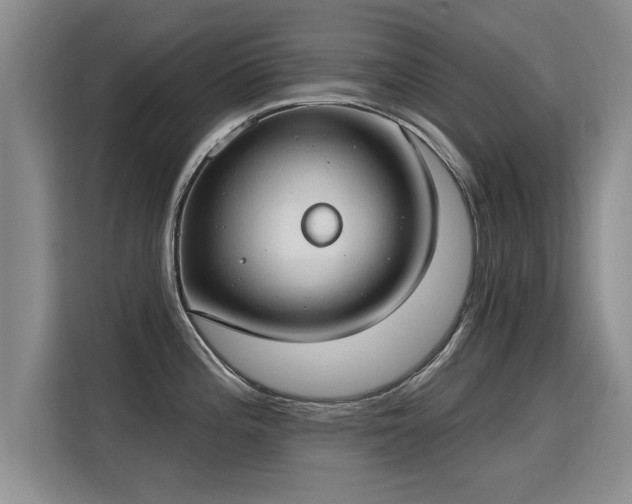 X0000115771196200911201212