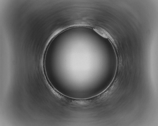 X0000115771197200911201212
