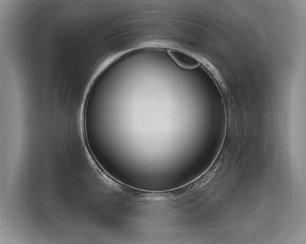 X0000115771199200911201212