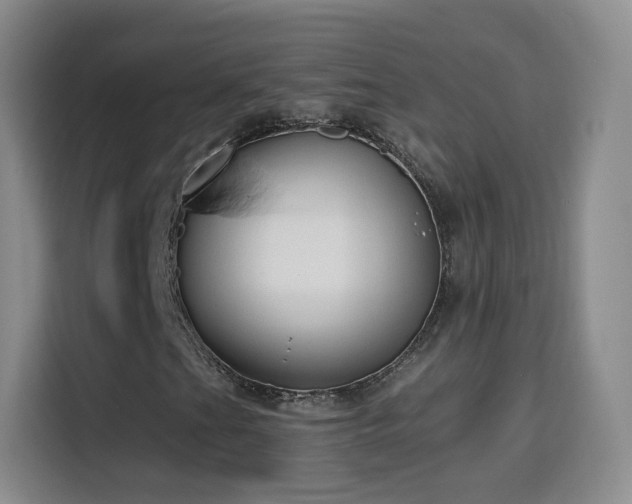 X0000115771201200911201211