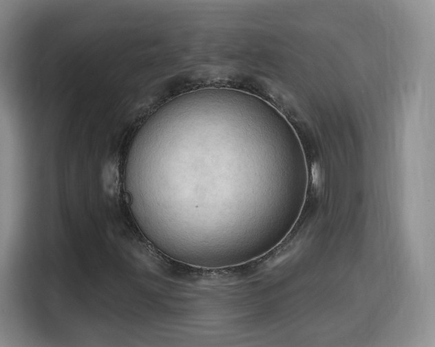 X0000115771203200911201211