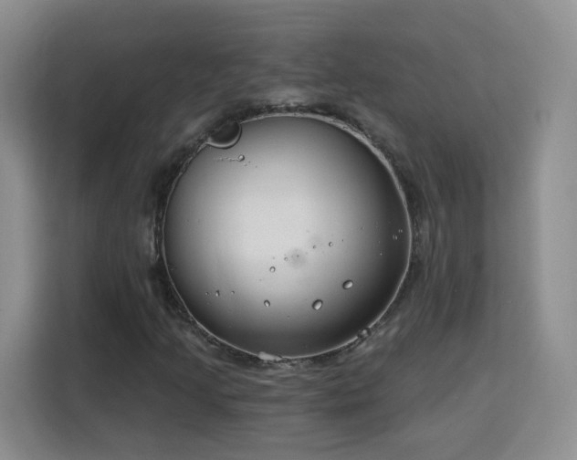 X0000115771205200911201211