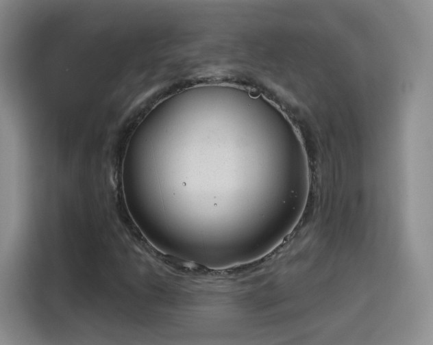 X0000115771206200911201211