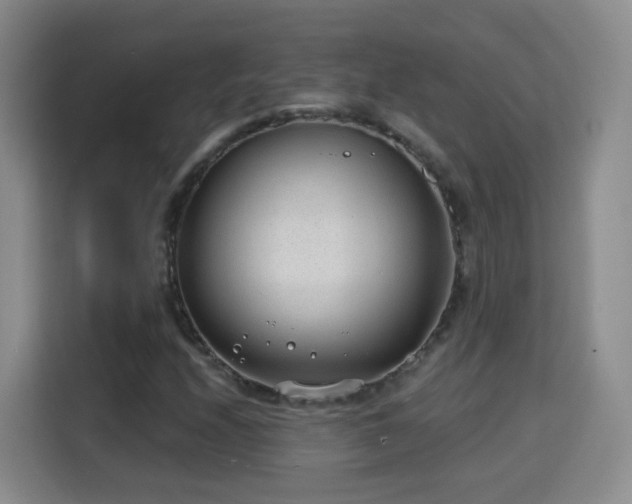 X0000115771208200911201211